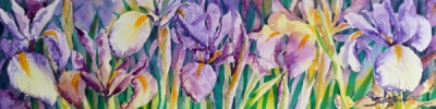 watercolour painting by Sue Graham